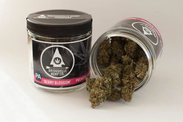 Premium Hemp Flower berry blossom